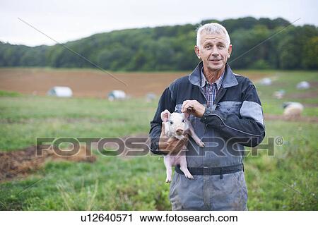 Farmer holding piglet in field View Large Photo Image Stock Image - Farmer holding piglet in field. Fotosearch