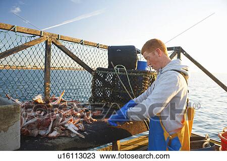 Stock Image - Fisherman at work on boat. Fotosearch