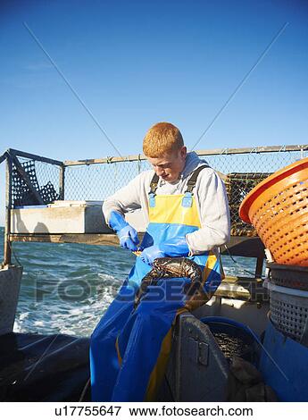 Stock Photo - Fisherman holding lobster on boat. Fotosearch