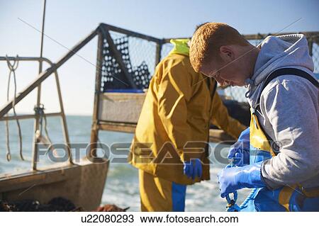 Fishermen at work on boat View Large Photo Image Stock Image - Fishermen at work on boat. Fotosearch