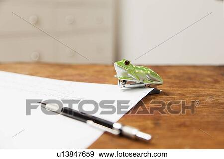 Stock Photo - Frog shaped stapler and pen on paper. Fotosearch