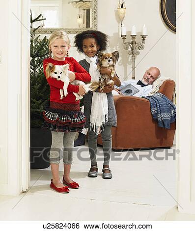 Girls holding dogs by Christmas tree View Large Photo Image Stock Photograph - Girls holding dogs by Christmas tree. Fotosearch