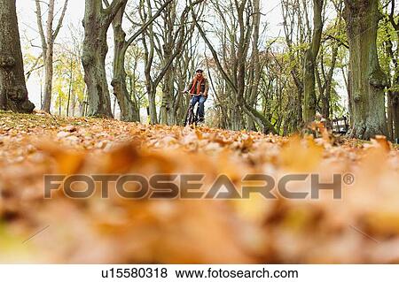Man riding bicycle in park View Large Photo Image Stock Photo - Man riding bicycle in park. Fotosearch