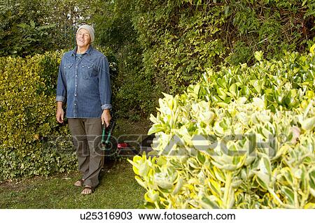 Older man working in garden View Large Photo Image Stock Image - Older man working in garden. Fotosearch