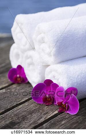 Orchids with fresh rolled towels View Large Photo Image Picture - Orchids with fresh rolled towels. Fotosearch