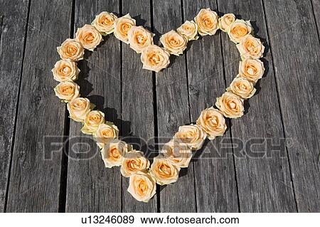 Roses arranged in heart shape View Large Photo Image Stock Photo - Roses arranged in heart shape. Fotosearch