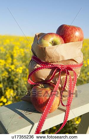 Sack of apples on wooden fence View Large Photo Image Stock Photograph - Sack of apples on wooden fence. Fotosearch