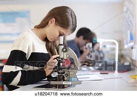 Student using microscope in class View Large Photo Image Stock Photo - Student using microscope in class. Fotosearch