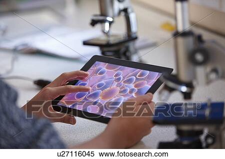 Student using tablet computer in class View Large Photo Image Stock Photography - Student using tablet computer in class. Fotosearch