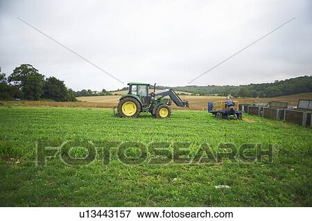 Tractor working in field View Large Photo Image Stock Photo - Tractor working in field. Fotosearch