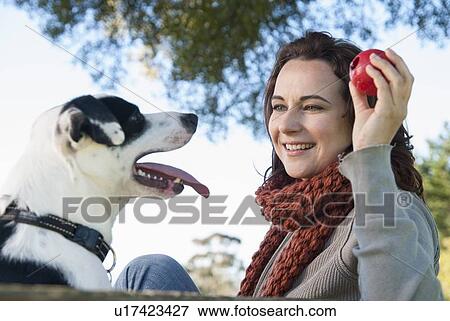 Woman playing fetch with dog View Large Photo Image Stock Photo - Woman playing fetch with dog. Fotosearch