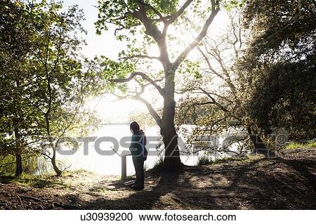 Stock Image - Woman reading plaque in forest. Fotosearch