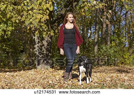 Stock Image - Woman walking dog in autumn leaves. Fotosearch