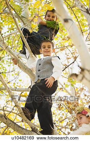 Bountiful, Children (4-5, 6-7, 8-9) playing on autumn tree View Large Photo Image Stock Photo - Bountiful, Children (4-5, 6-7, 8-9) playing on autumn tree. Fotosearch