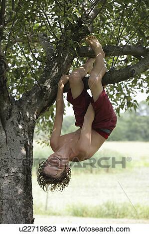 Boy (10-11) hanging upside down on tree branch View Large Photo Image Stock Image - Boy (10-11) hanging upside down on tree branch. Fotosearch