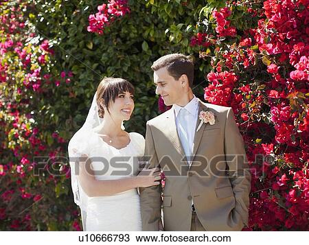 Stock Image - Bride and groom strolling in garden. Fotosearch