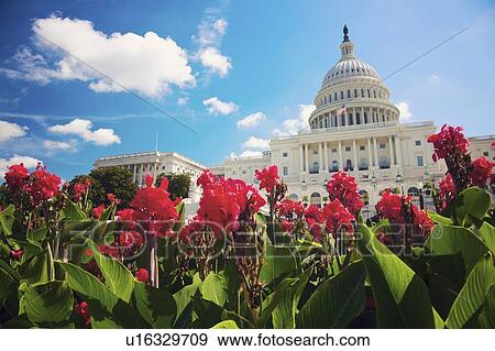 Capitol Building View Large Photo Image Stock Photo - Capitol Building. Fotosearch