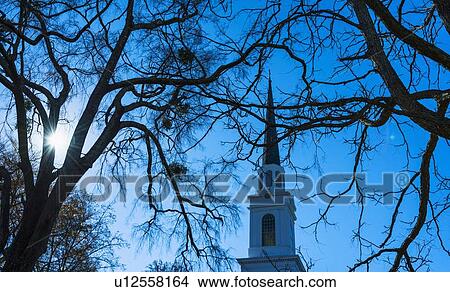 Church steeple behind tree branches View Large Photo Image Picture - Church steeple behind tree branches. Fotosearch