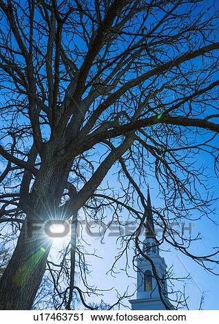 Stock Image - Church steeple behind tree branches. Fotosearch