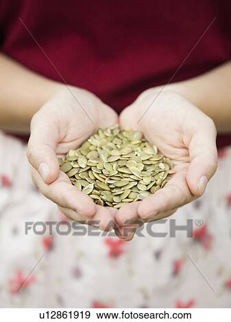 Stock Photo - Mid-section of woman holding pumpkin seed. Fotosearch