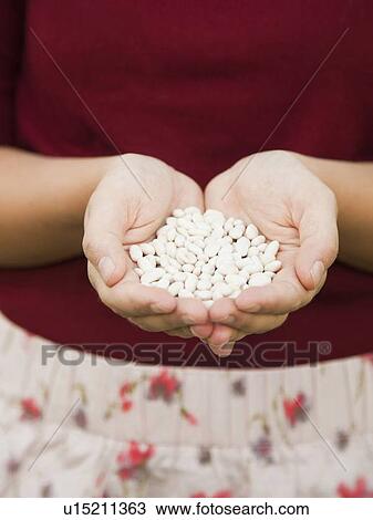 Mid-section of woman holding white beans View Large Photo Image Stock Image - Mid-section of woman holding white beans. Fotosearch