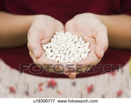 Mid-section of woman holding white beans View Large Photo Image Stock Photo - Mid-section of woman holding white beans. Fotosearch