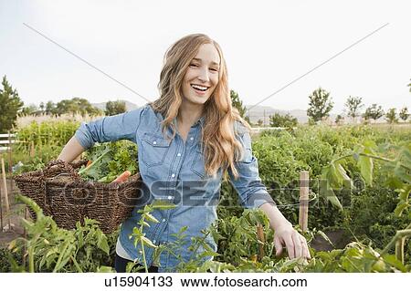 Portrait of young woman harvesting vegetables View Large Photo Image Stock Image - Portrait of young woman harvesting vegetables. Fotosearch