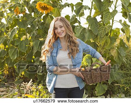 Portrait of young woman harvesting sunflowers View Large Photo Image Stock Photo - Portrait of young woman harvesting sunflowers. Fotosearch