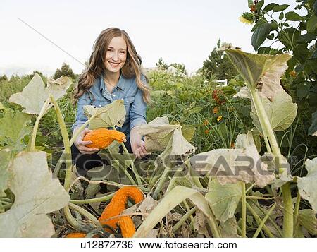 Portrait of young woman harvesting squash View Large Photo Image Stock Photograph - Portrait of young woman harvesting squash. Fotosearch