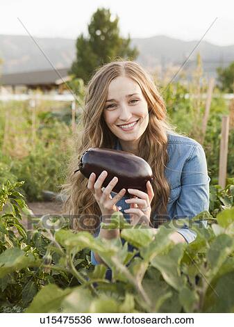 Portrait of young woman harvesting eggplant View Large Photo Image Stock Photograph - Portrait of young woman harvesting eggplant. Fotosearch
