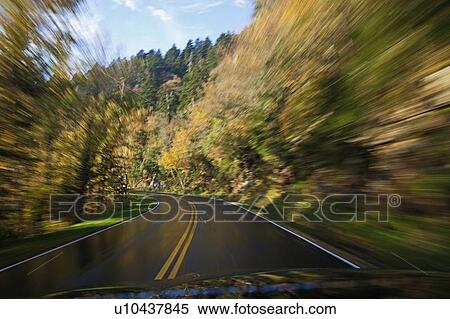 Road going through National Park View Large Photo Image Stock Photography - Road going through National Park. Fotosearch