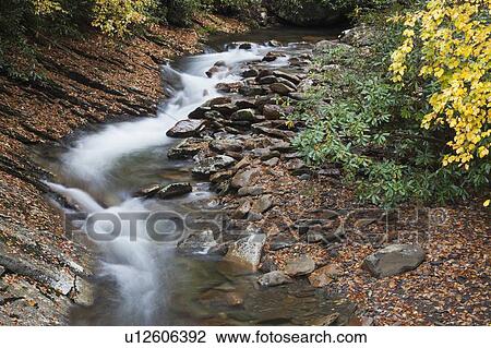Stock Image - Small stream. Fotosearch
