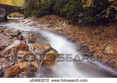 Stock Image - Small stream. Fotosearch