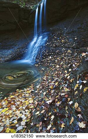 Stock Image - Small waterfalls in forest. Fotosearch
