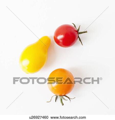 Studio Shot of three Cherry Tomatoes View Large Photo Image Stock Image - Studio Shot of three Cherry Tomatoes. Fotosearch