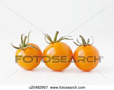 Studio Shot of three Cherry Tomatoes View Large Photo Image Stock Photo - Studio Shot of three Cherry Tomatoes. Fotosearch