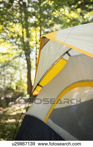 Stock Photo - Tent in forest. Fotosearch