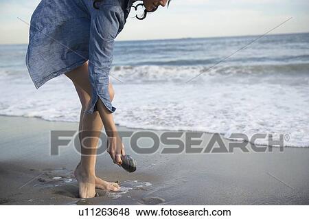 Woman collecting seashells on beach View Large Photo Image Stock Photo - Woman collecting seashells on beach. Fotosearch