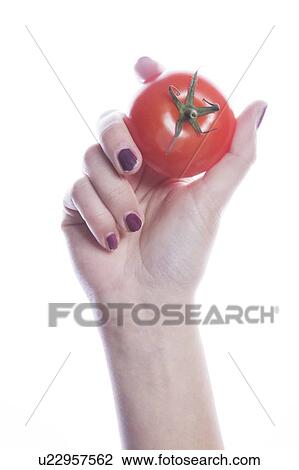 Stock Image - Detail shot of woman holding tomato over white background. Fotosearch