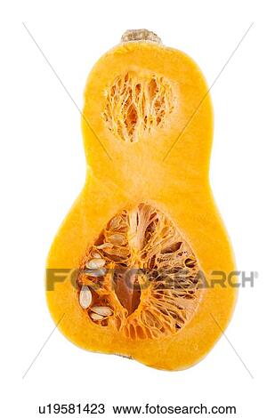 Stock Image - Half butternut squash over white background. Fotosearch