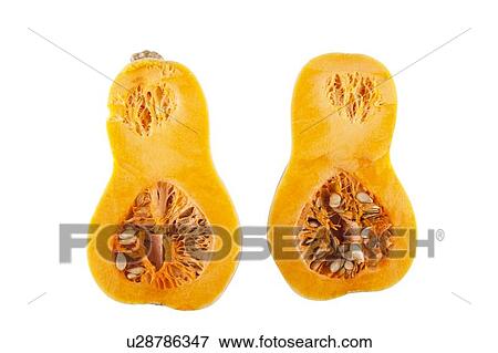 Halved butternut squash over white background View Large Photo Image Stock Photo - Halved butternut squash over white background. Fotosearch