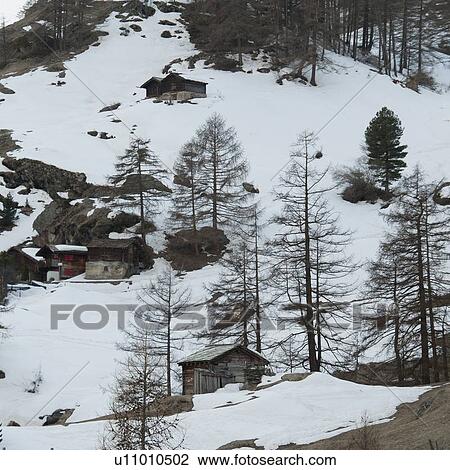 Chalets in the snow covered valley in winter, Zermatt, Valais Canton, Switzerland View Large Photo Image Stock Image - Chalets in the snow covered valley in winter, Zermatt, Valais Canton, Switzerland. Fotosearch
