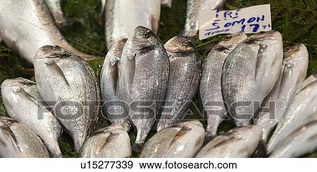 Stock Photo - Fish at a fish market, Arap Camii, Istanbul, Turkey. Fotosearch