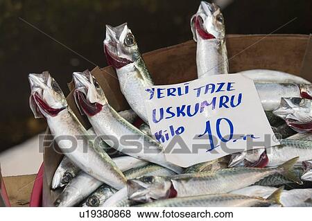 Stock Photo - Fish at a fish market, Arap Camii, Istanbul, Turkey. Fotosearch