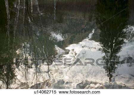 Forest in winter, Chamonix, Rhone-Alpes, France View Large Photo Image Stock Photography - Forest in winter, Chamonix, Rhone-Alpes, France. Fotosearch