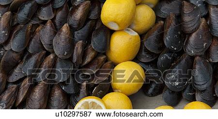 Mussels and lemon at a food stand, Istanbul, Turkey View Large Photo Image Stock Photo - Mussels and lemon at a food stand, Istanbul, Turkey. Fotosearch