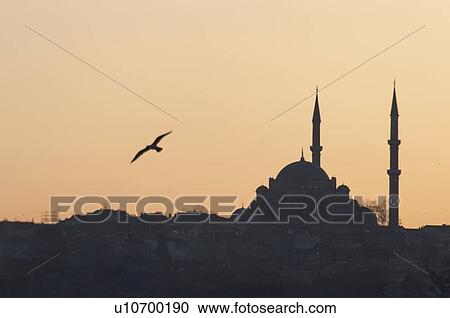 Stock Image - Silhouette of a bird flying over Suleymaniye Mosque, Third Hill, Istanbul, Turkey. Fotosearch