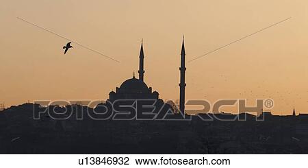 Silhouette of a bird flying over Suleymaniye Mosque, Third Hill, Istanbul, Turkey View Large Photo Image Stock Image - Silhouette of a bird flying over Suleymaniye Mosque, Third Hill, Istanbul, Turkey. Fotosearch