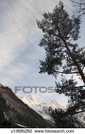 Trees on snow covered mountains in winter, Aiguille Du Dru, Mont Blanc, Chamonix, Rhone-Alpes, France View Large Photo Image Stock Image - Trees on snow covered mountains in winter, Aiguille Du Dru, Mont Blanc, Chamonix, Rhone-Alpes, France. Fotosearch