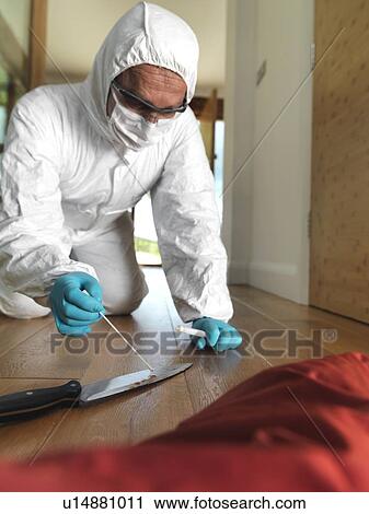 Stock Image - Collecting forensic evidence. Fotosearch